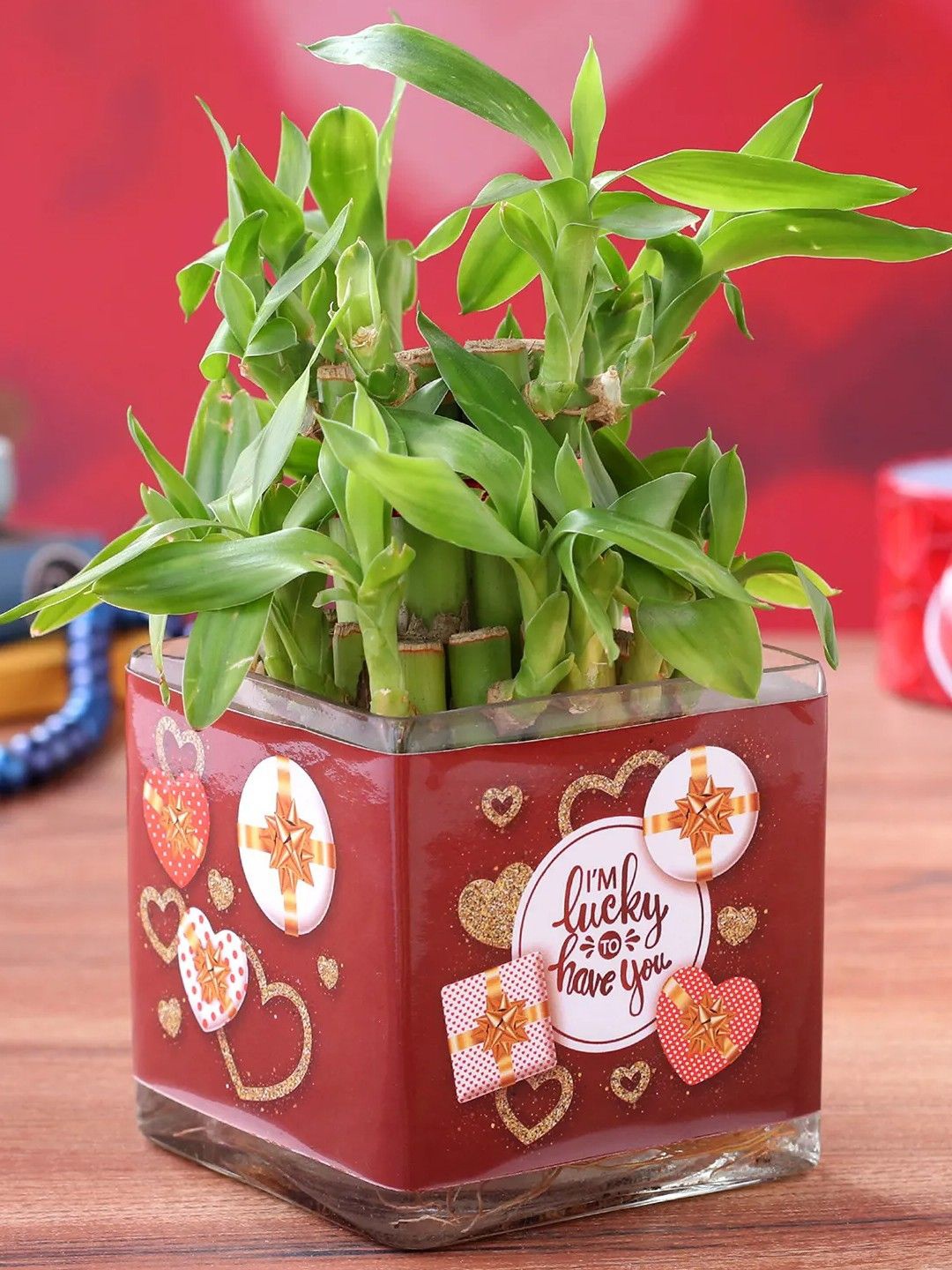 

fnp Green Bamboo Plant With Pot 5 inches