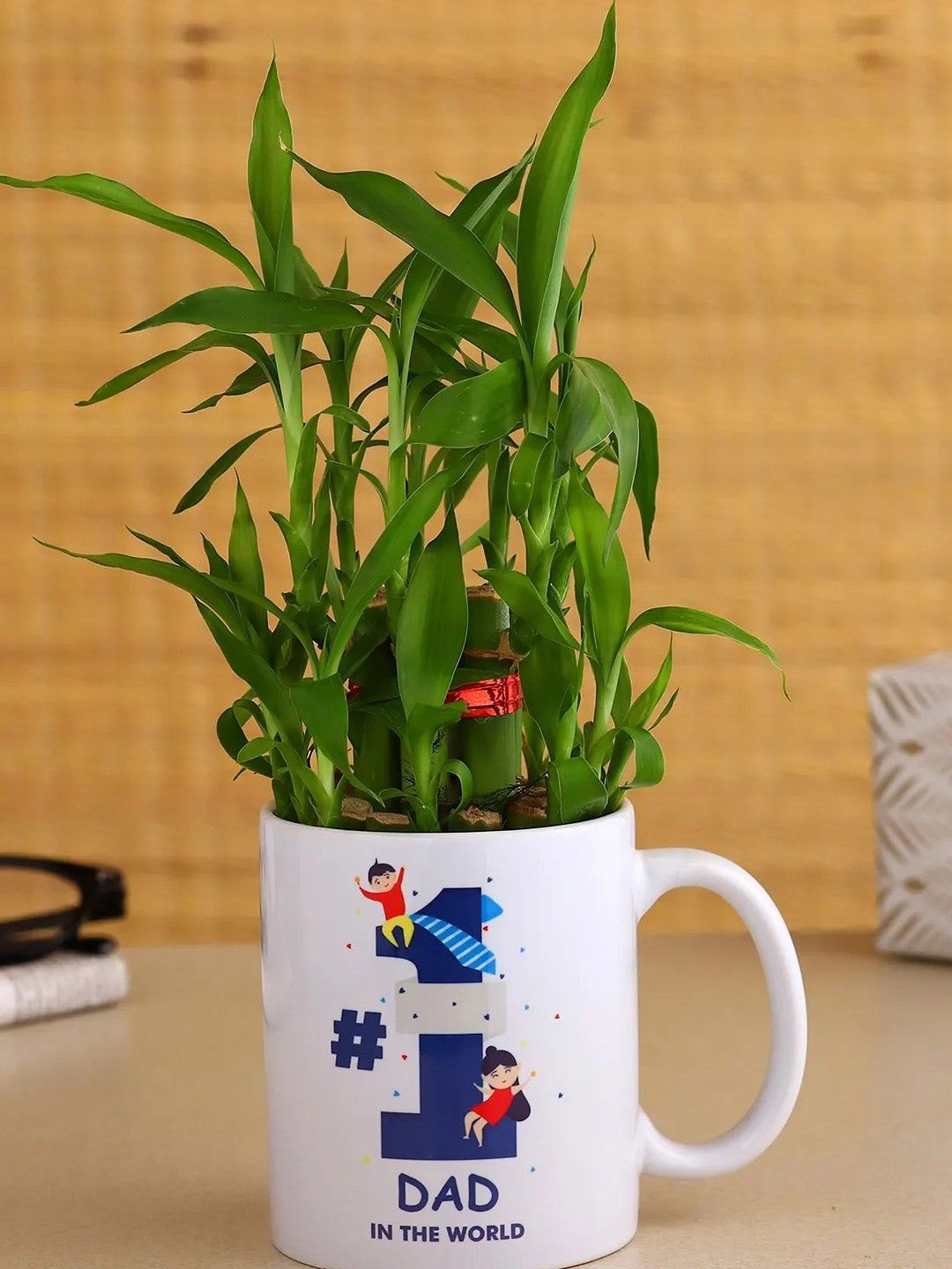 

fnp Green Indoor Bamboo Plant with Mug