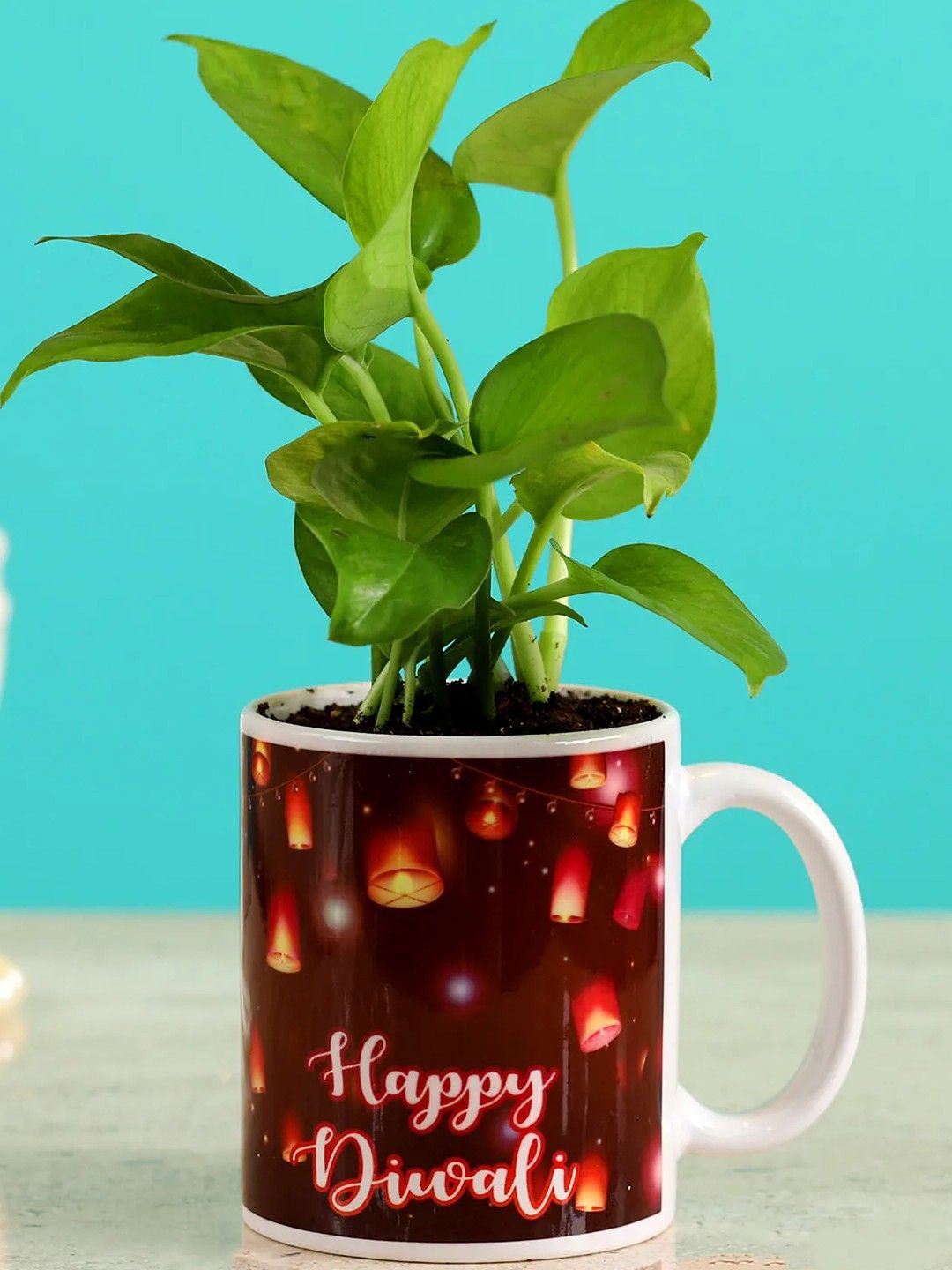 

fnp Indoor Money Plant With Pot, Green