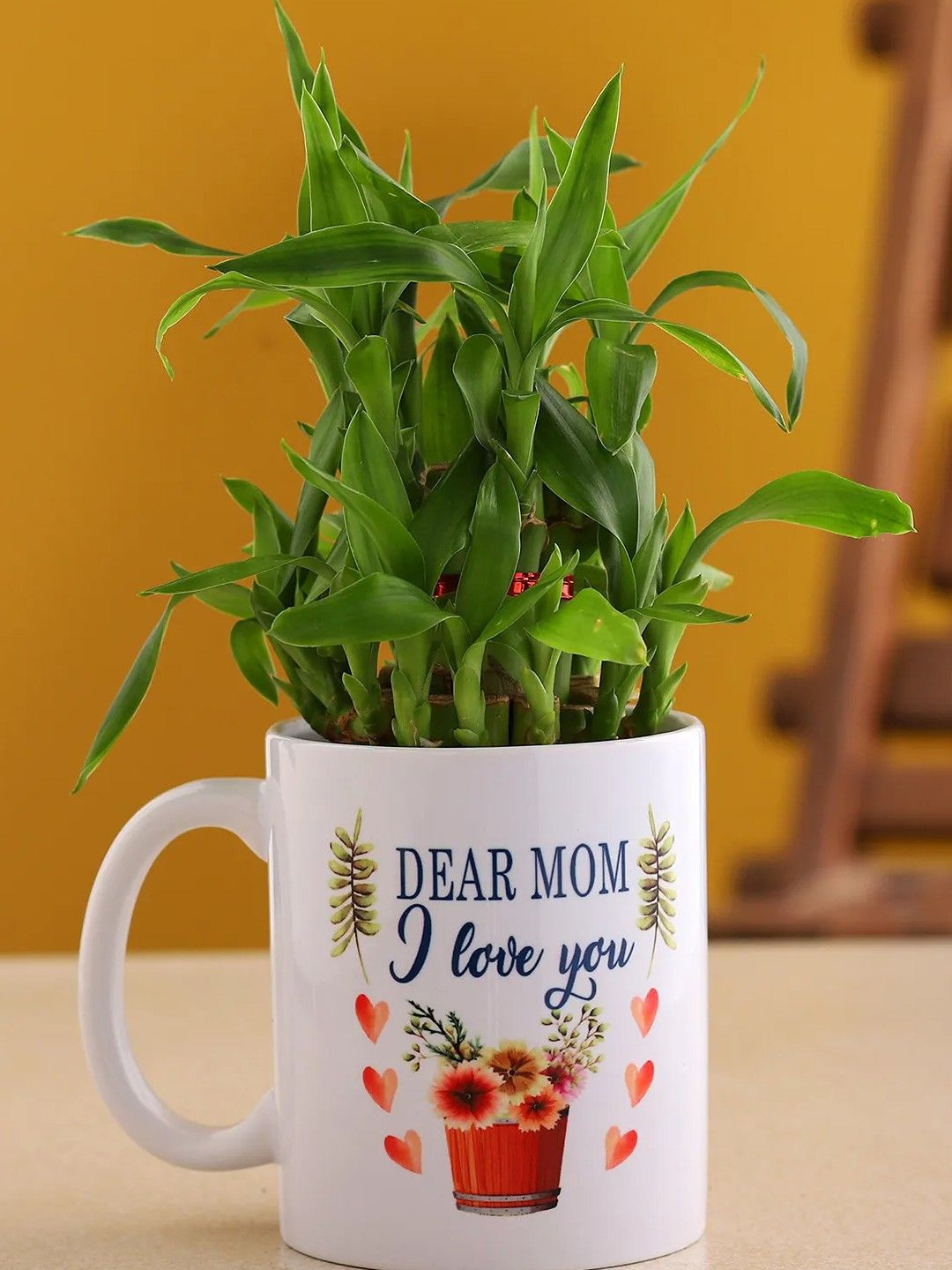 

fnp Green Indoor Bamboo Plant with Pot