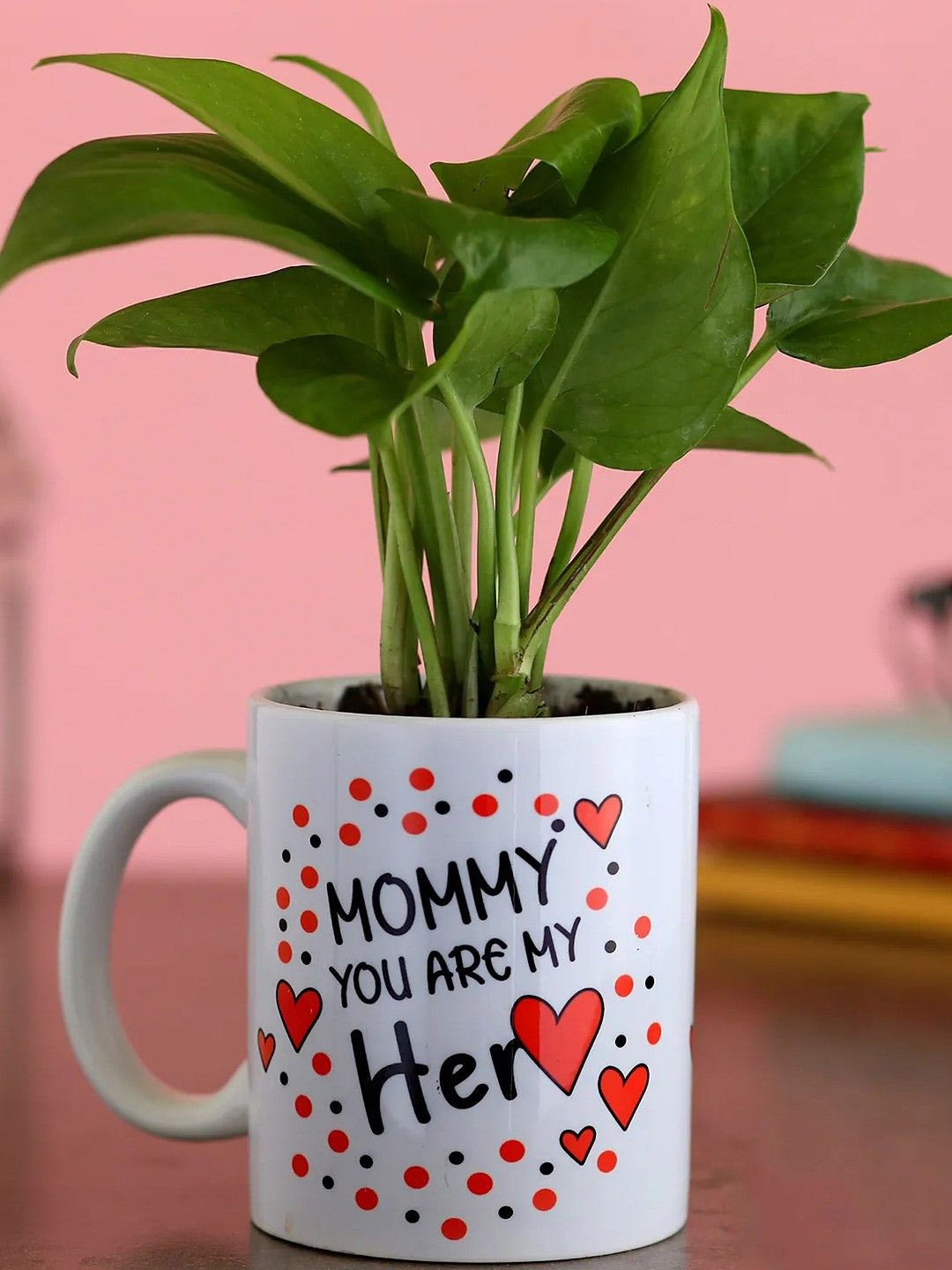 

fnp Green Money Plant With Pot 5 inches