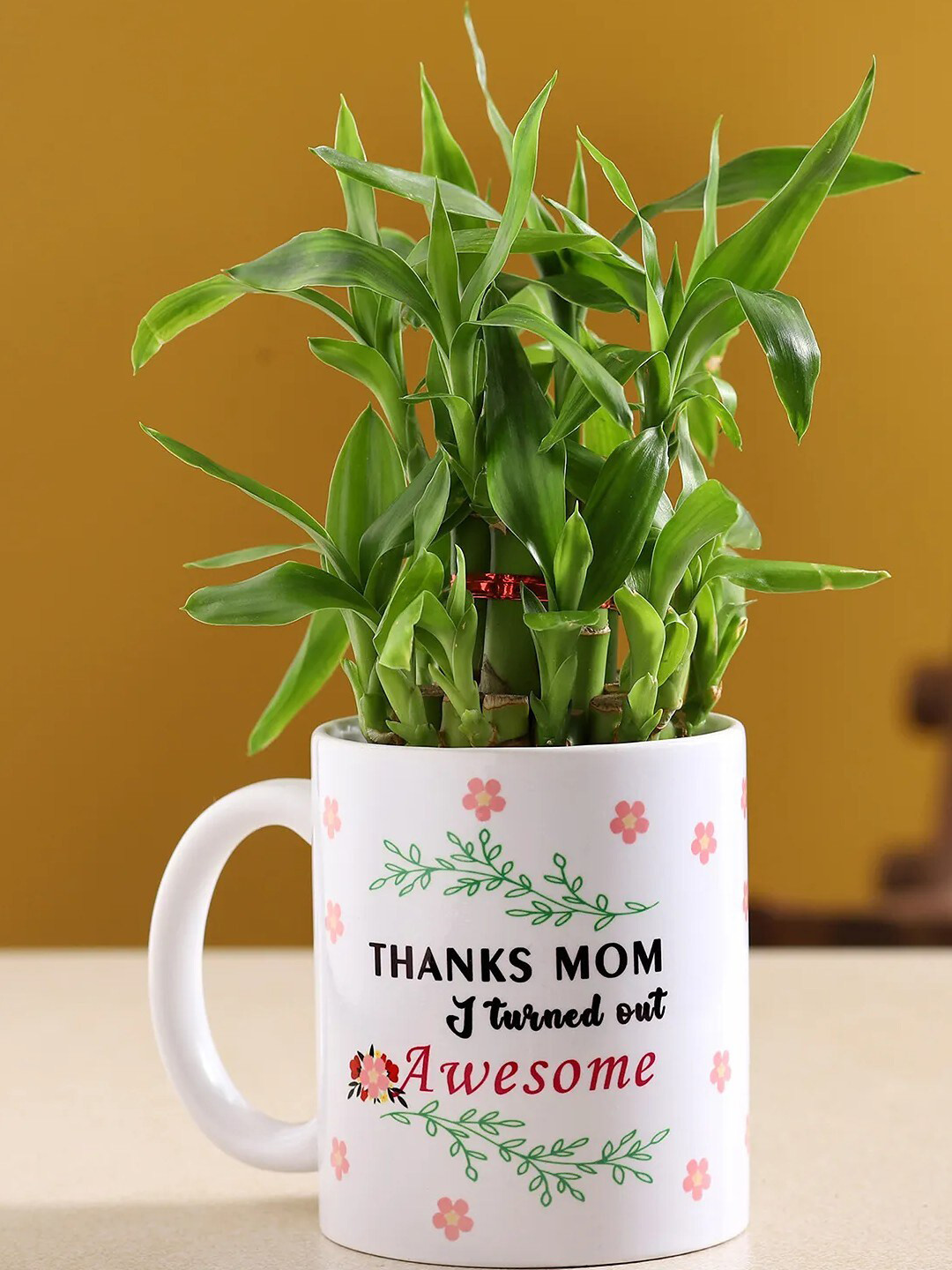 

fnp Indoor Green Two Layer Bamboo Plant With Mug