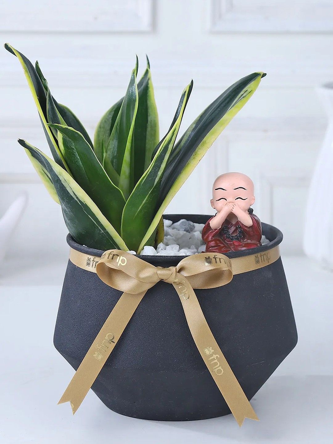 

fnp Green Sansevieria Plant With Metal Vase
