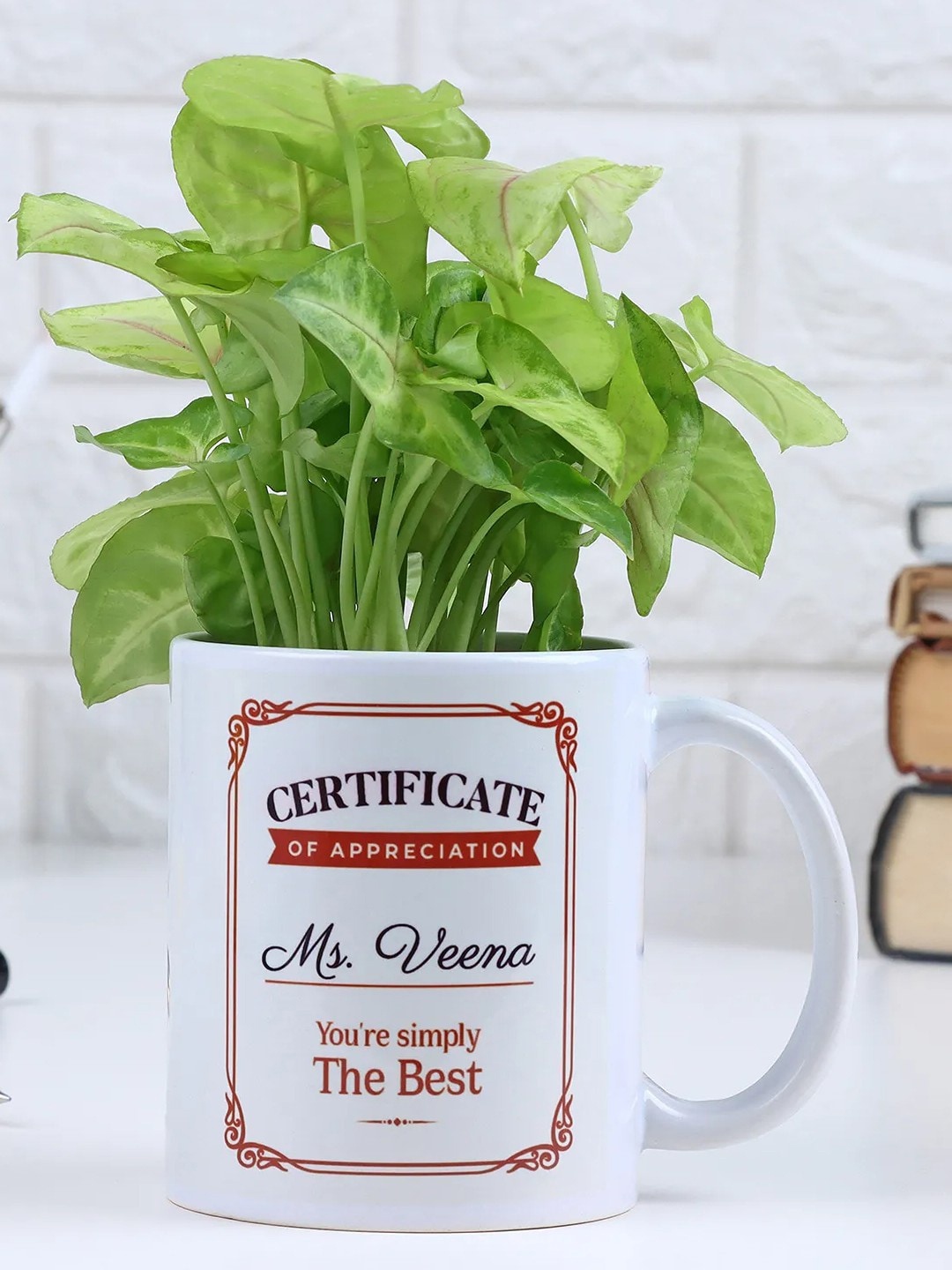 

fnp Green Syngonium Plant With Mug