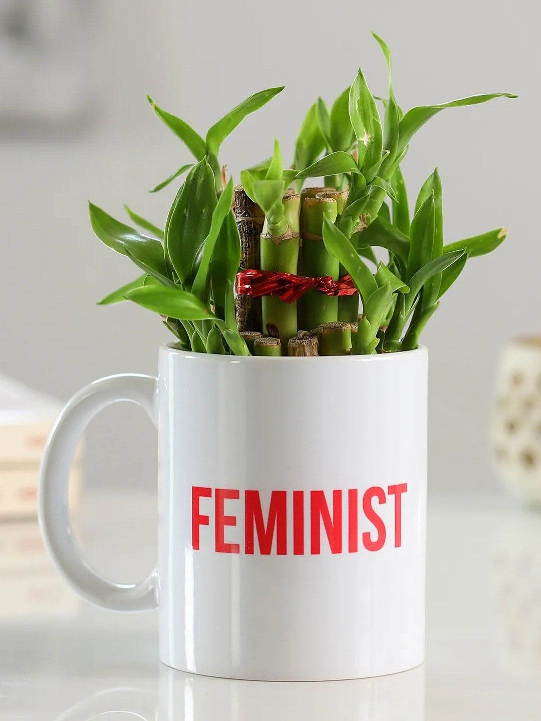 

fnp Green Bamboo Plant With Mug