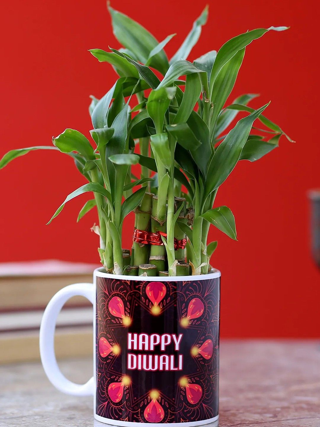 

fnp Green 2-Layer Bamboo Plant With Pot