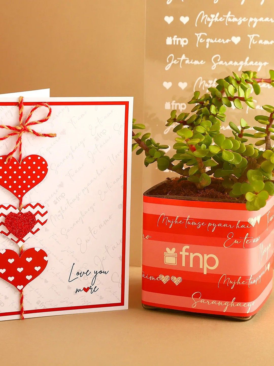 

fnp Green & Red Jade Plant Love Combo Home Gift Set