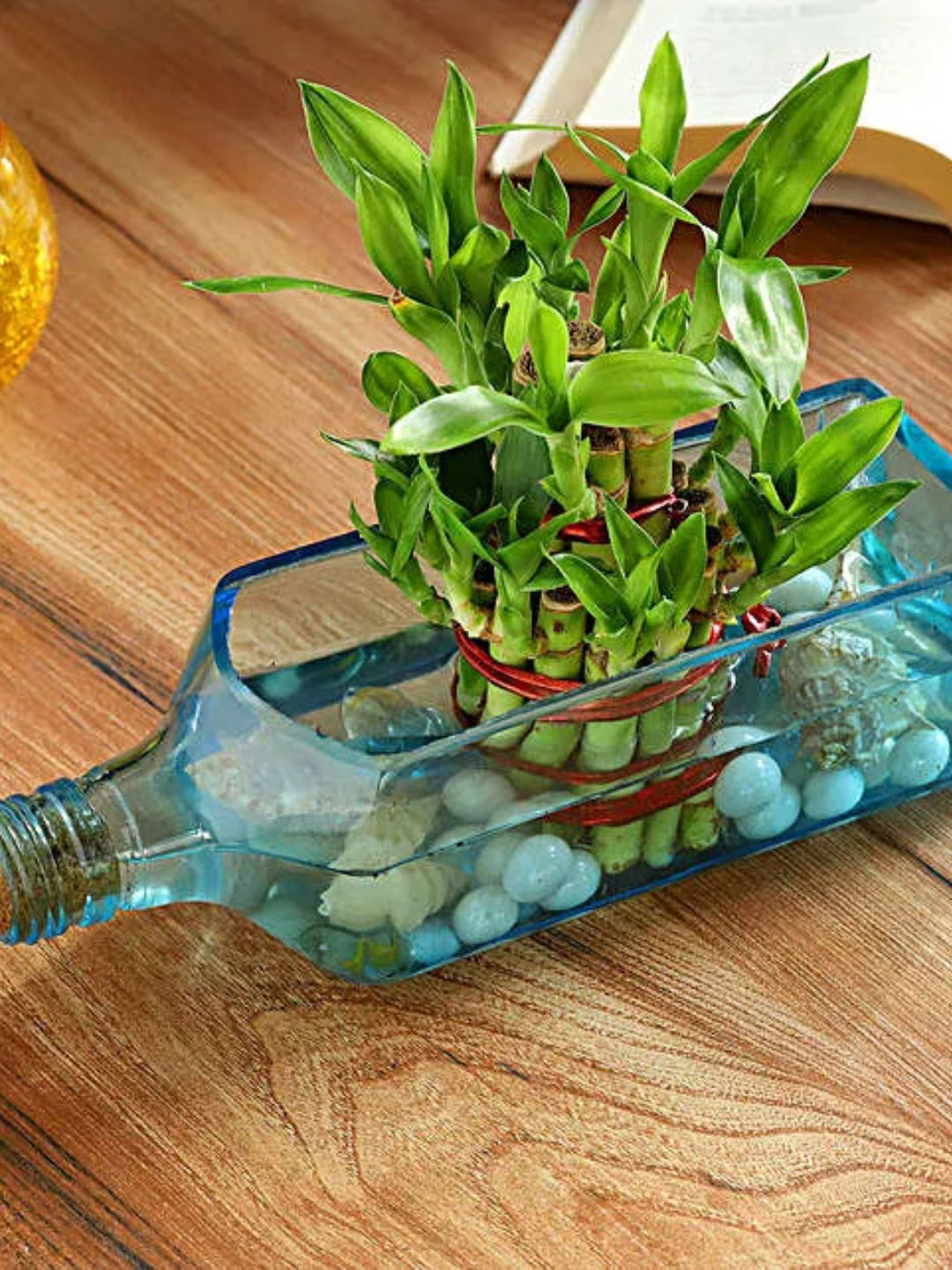 

fnp Green Indoor Bamboo Bottle Planter