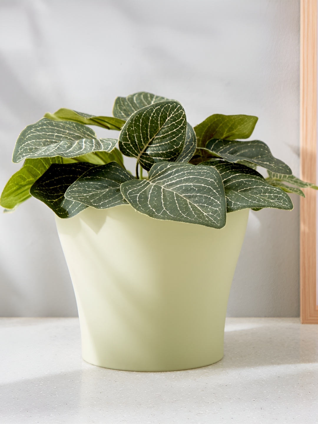 

Home Centre Green Textured Planter