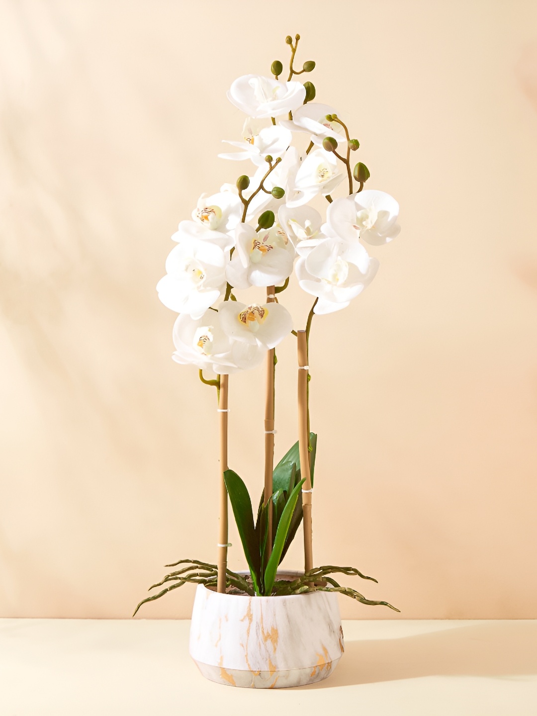 

Home Centre White Gloria Orchids Artificial Flower