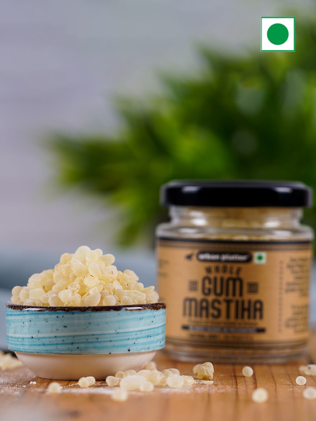 

URBAN PLATTER Gum Mastiha Baking Essentials-25g, Cream
