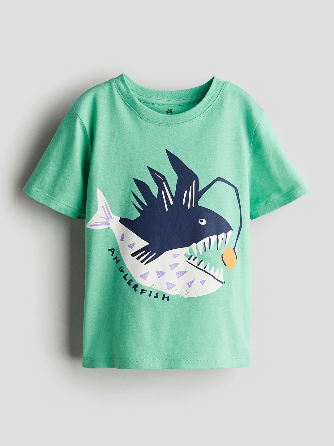 

H&M Boys Printed T-shirt, Green