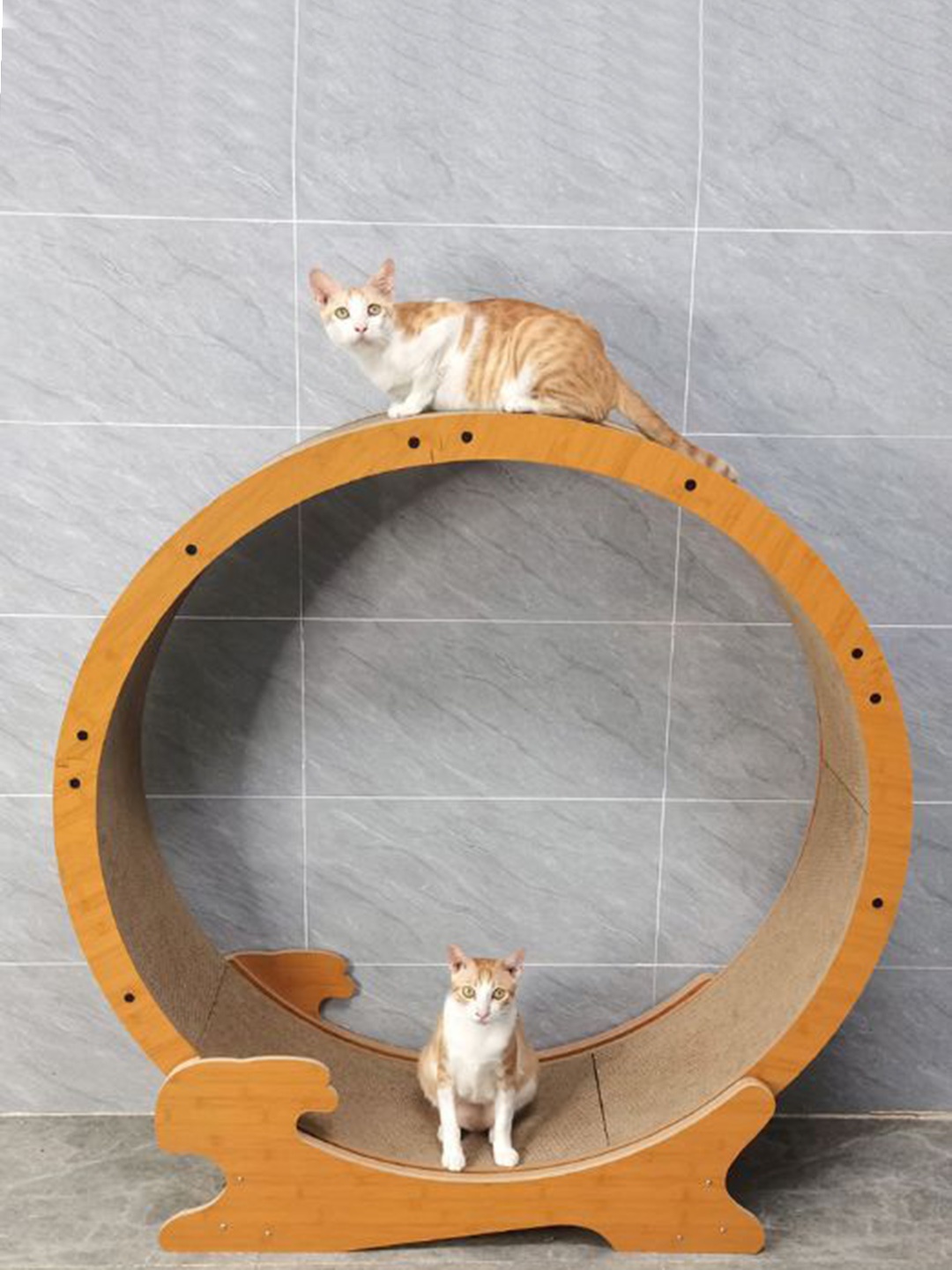 

Emily pets Beige Cat Exerciser Treadmill Pet Scratchers