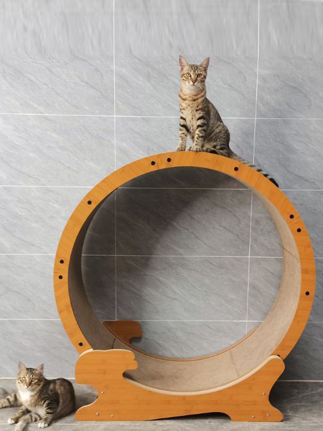 

Emily pets Cat Exercise Wheel, Beige