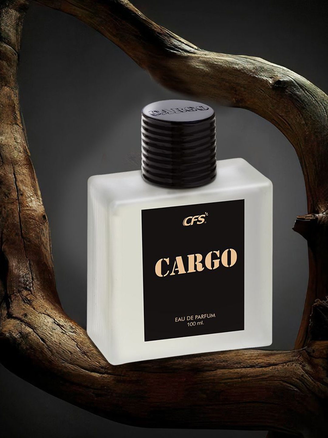 

CFS Cargo Eau De Parfum-100ml & Pure Heart Long Lasting Apparel Perfume-25ml, Black