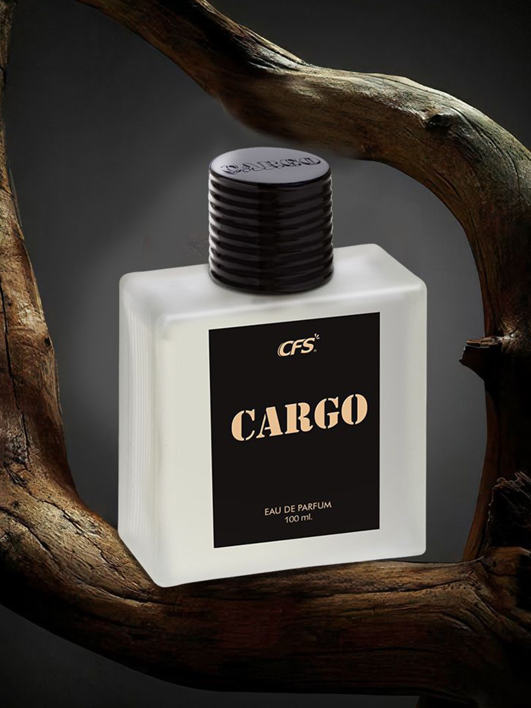 

CFS Cargo Eau De Parfum-100ml & Long Lasting Apparel Perfume-25ml, Black