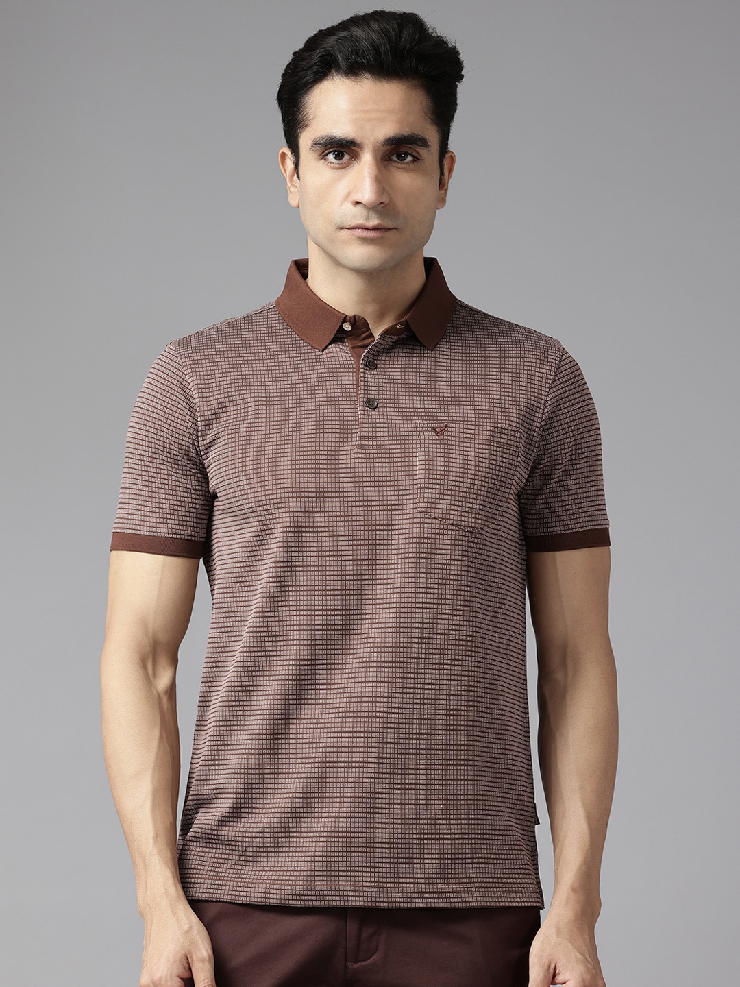 

Blackberrys Polo Collar Pure Cotton Slim Fit T-shirt, Brown