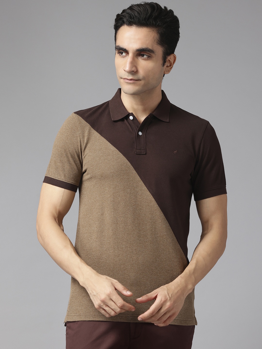 

Blackberrys Polo Collar Pure Cotton Slim Fit T-shirt, Brown