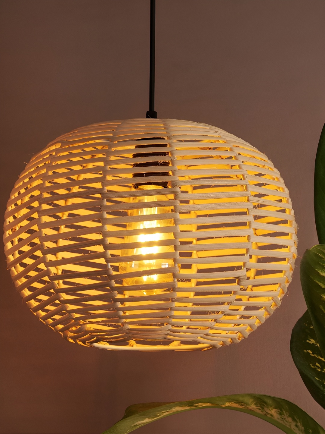 

Decazone Beige & Black Textured Contemporary Ceiling Lamp