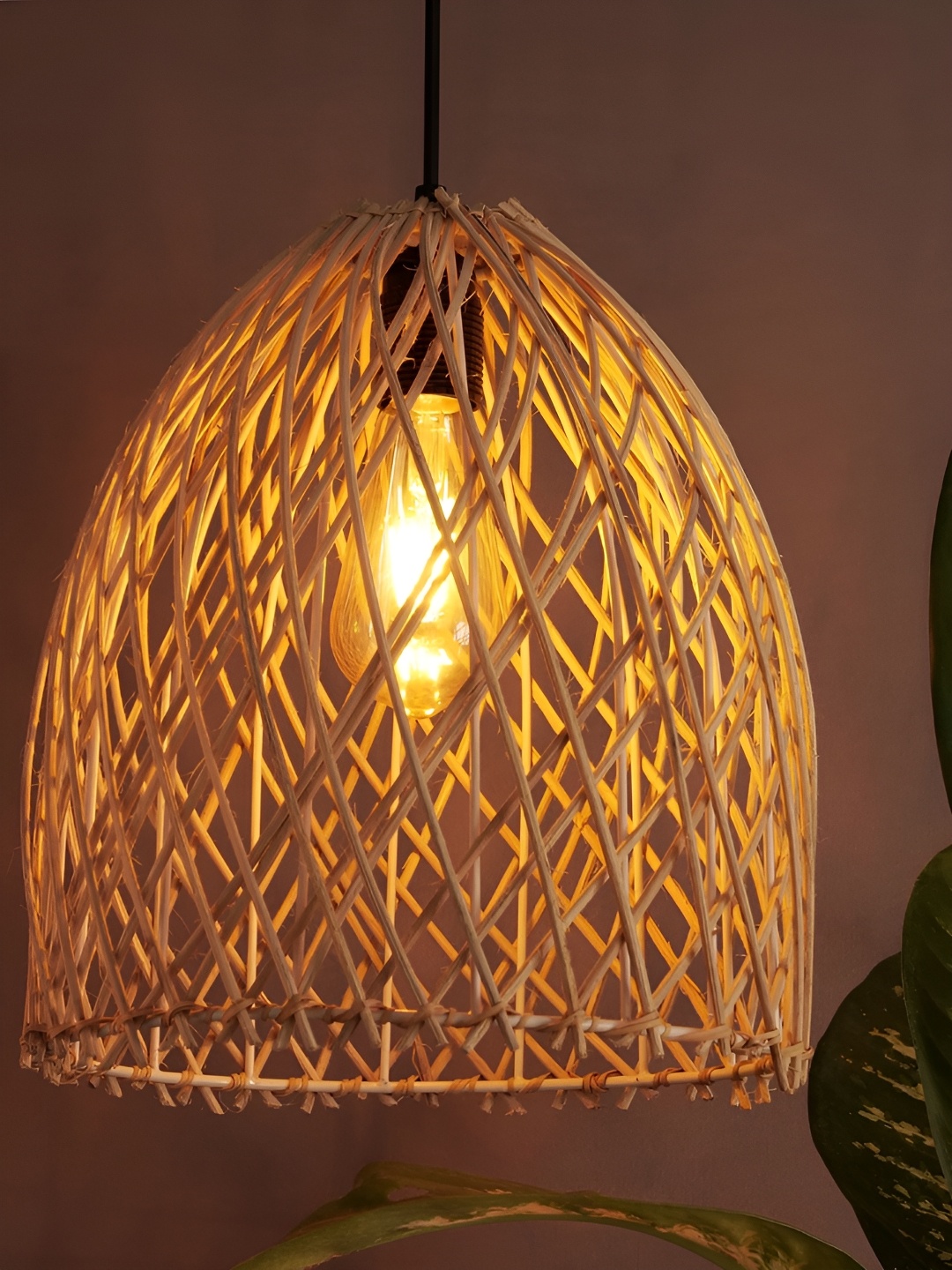 

Decazone Beige Ceiling Lamp