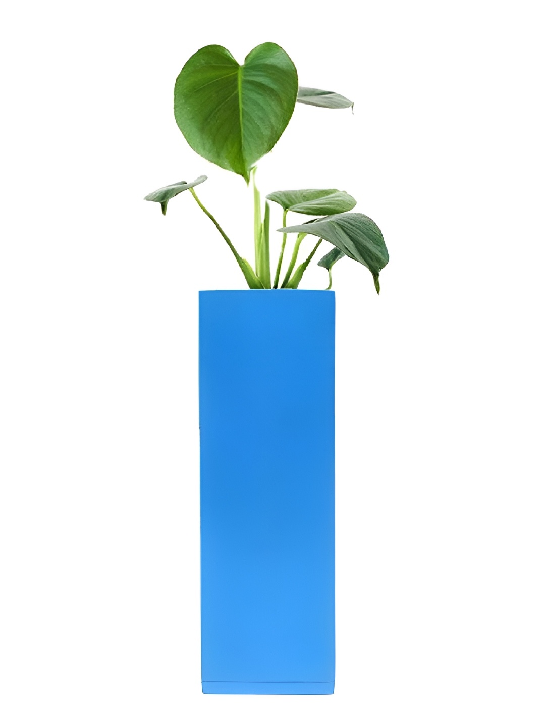 

VAH Kya Bat Hai !! Blue Magnetic Wooden Flower Pot Holder