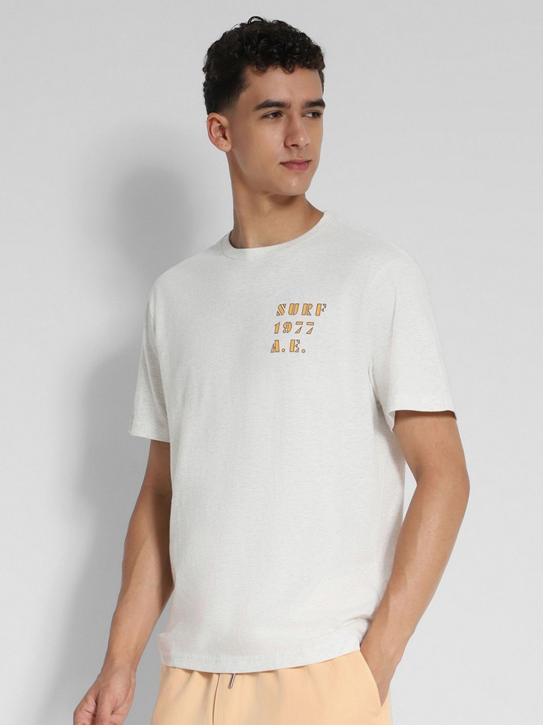 AMERICAN EAGLE OUTFITTERS Men Typography Applique T-shirt, Grey