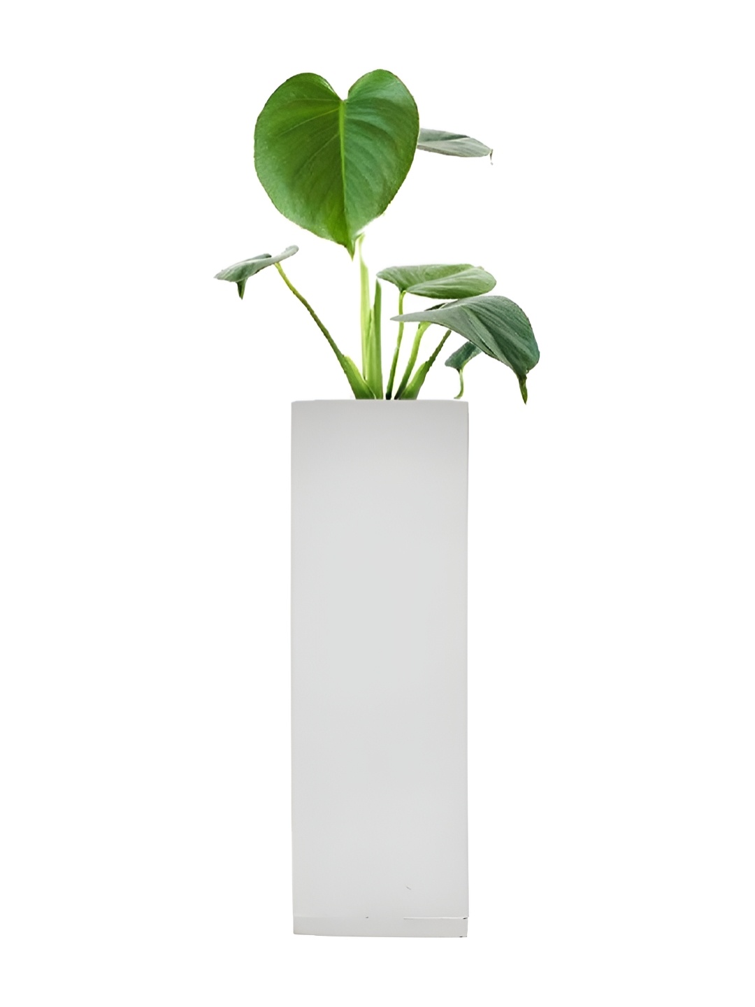 

VAH Kya Bat Hai !! White Magnetic Hydroponic Planter