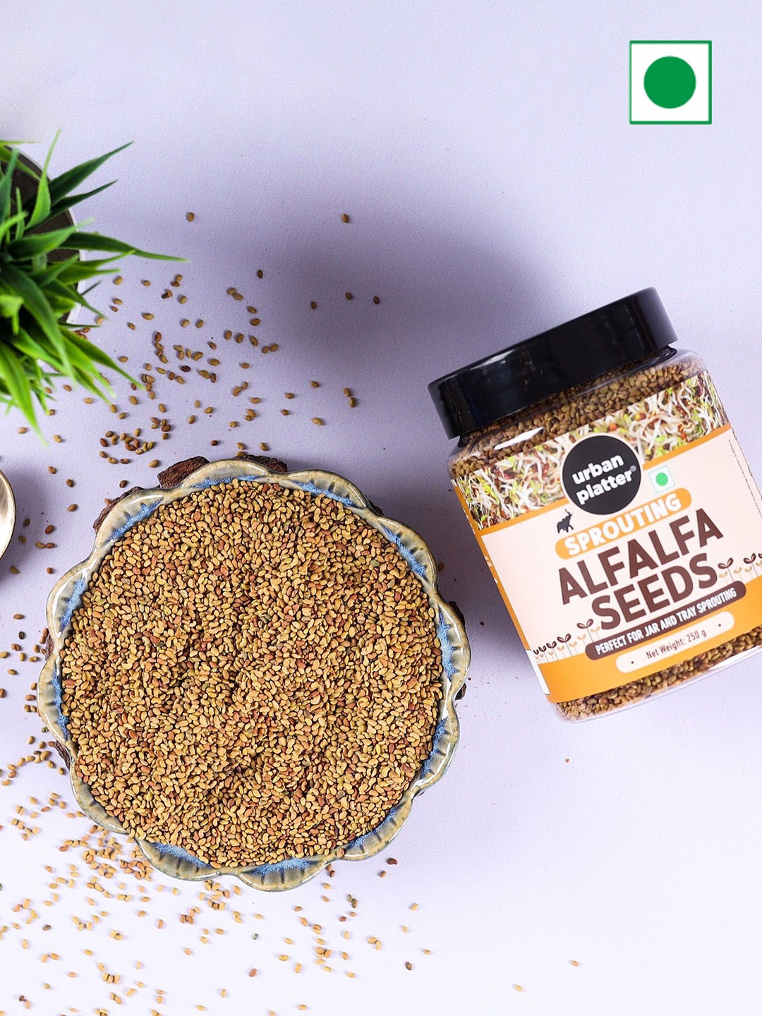 

URBAN PLATTER Alfalfa Seeds 250g, Brown