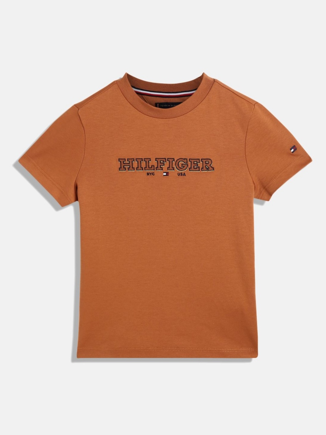 

Tommy Hilfiger Boys Typography Printed Round Neck Cotton T-shirt, Brown