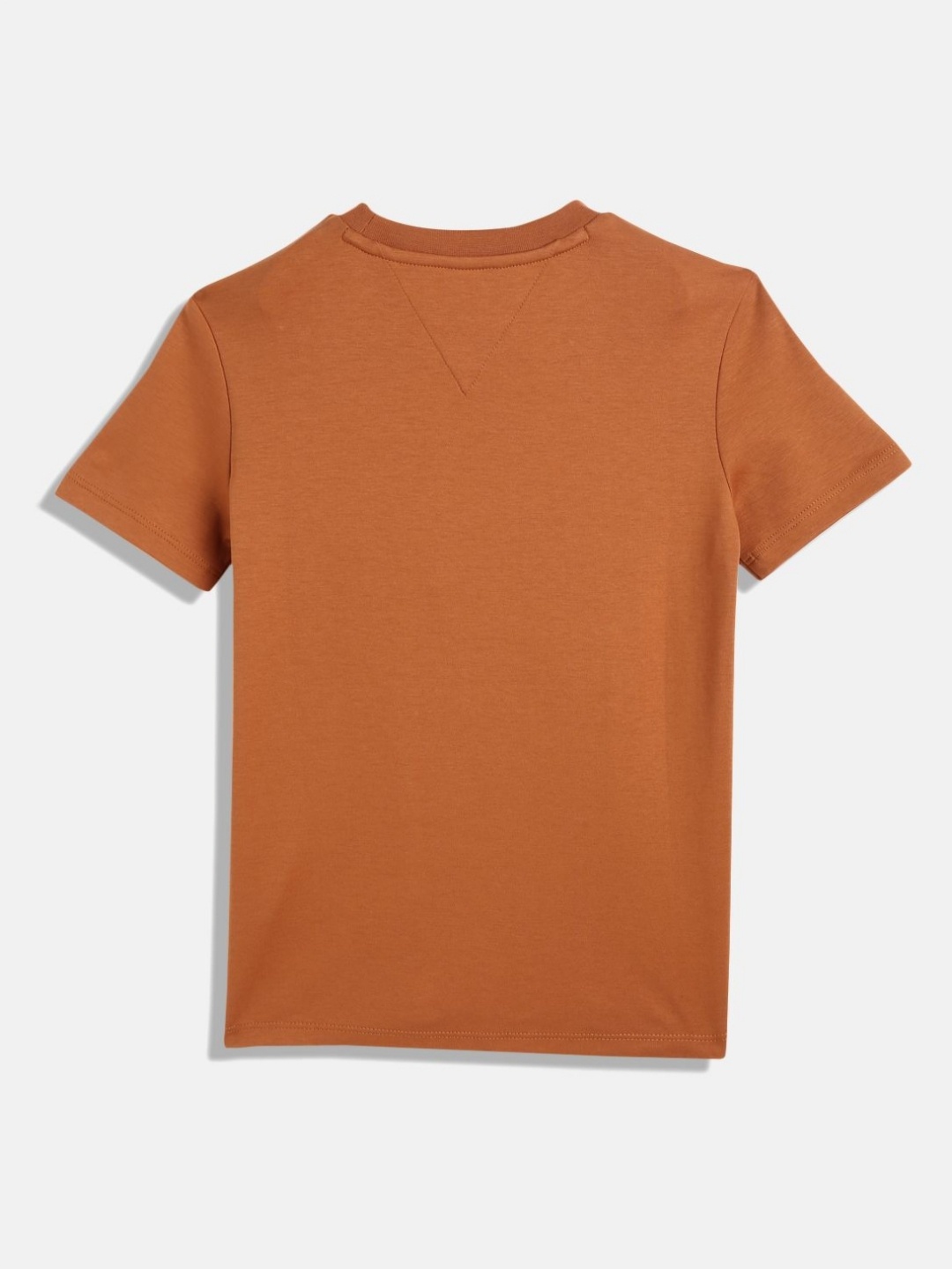 Tommy Hilfiger Boys Typography Embroidered Round Neck Cotton T-shirt, Brown