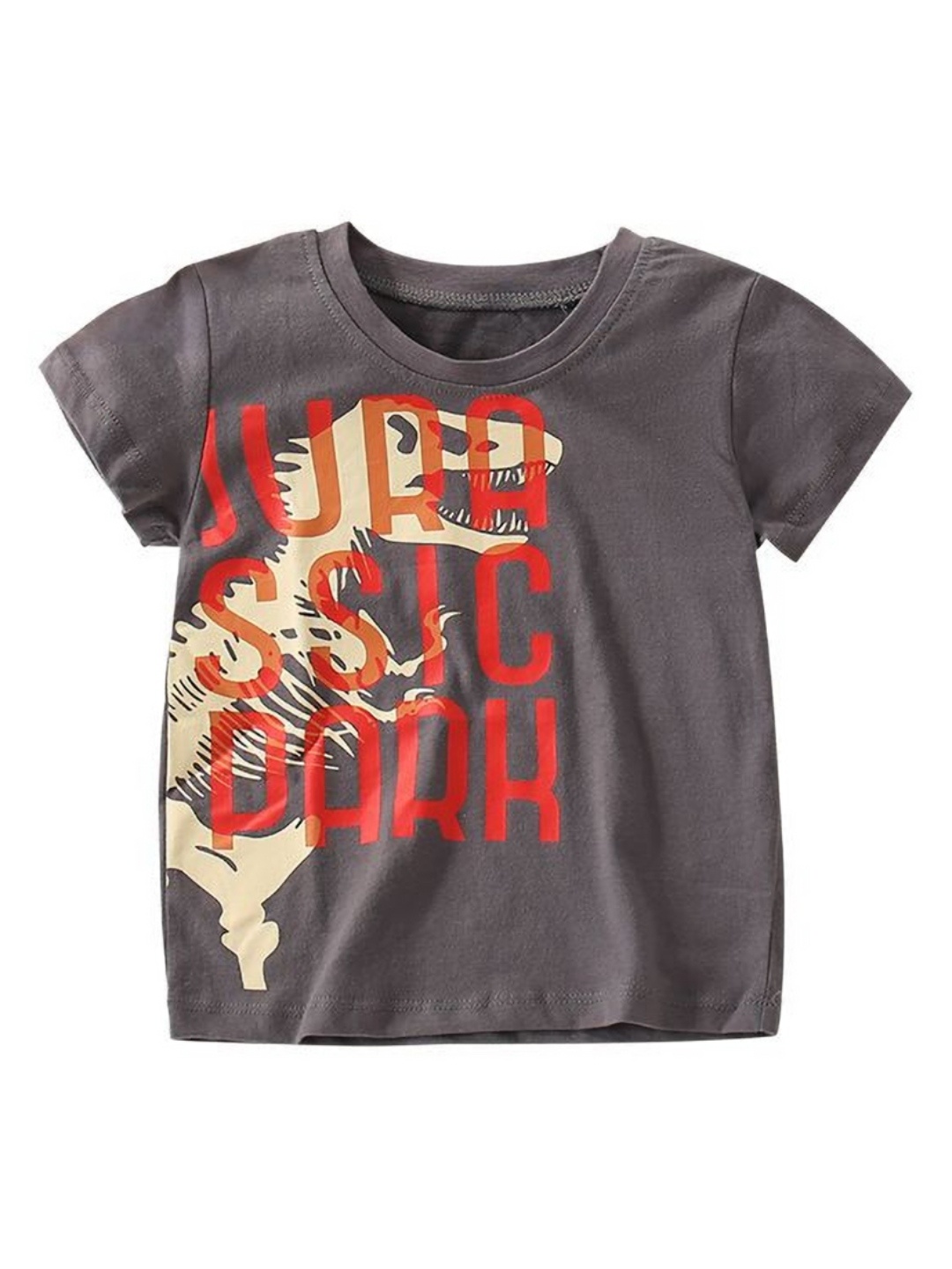 

StyleCast Boys Graphic Printed Round Neck T-shirt, Grey