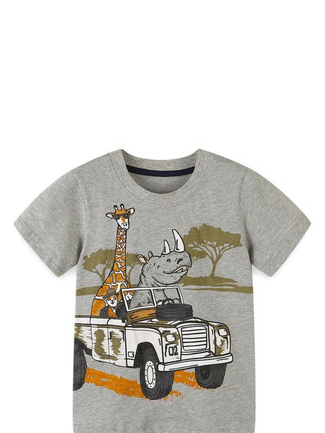 

StyleCast Boys Graphic Printed Round Neck T-shirt, Grey