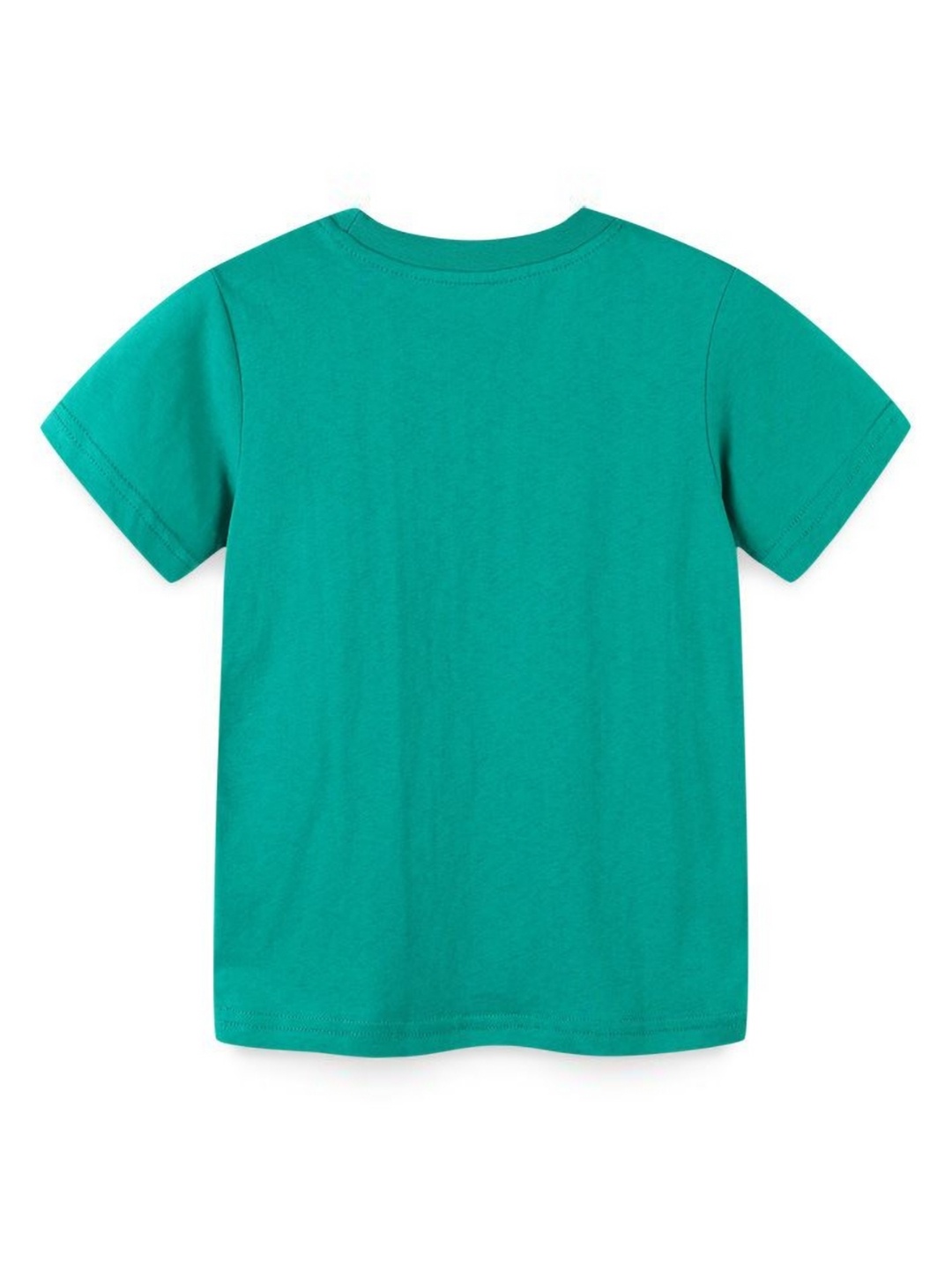 

StyleCast Boys Printed Solid Round Neck Cotton T-shirt, Green