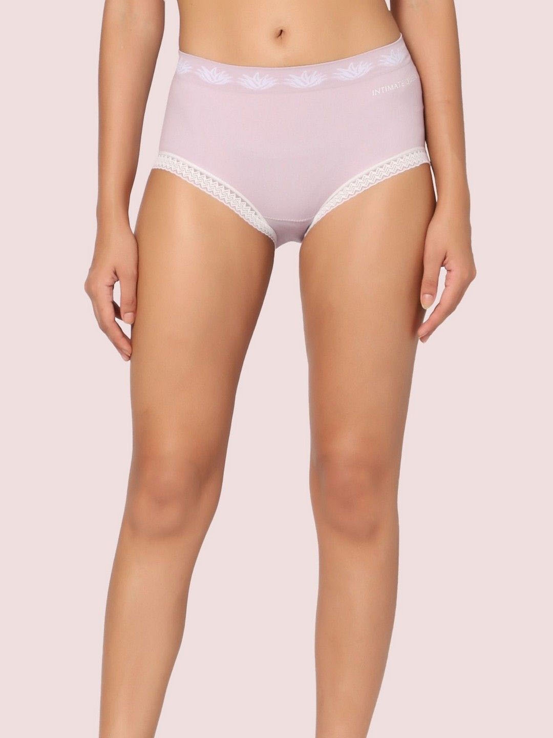 

INTIMATE QUEEN Cotton Candy Moisture Wicking Hipster Brief, Lavender