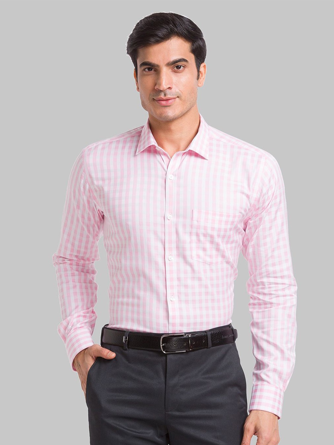 

Park Avenue Men Slim Fit Opaque Checked Spread Collar Formal Shirt, Pink