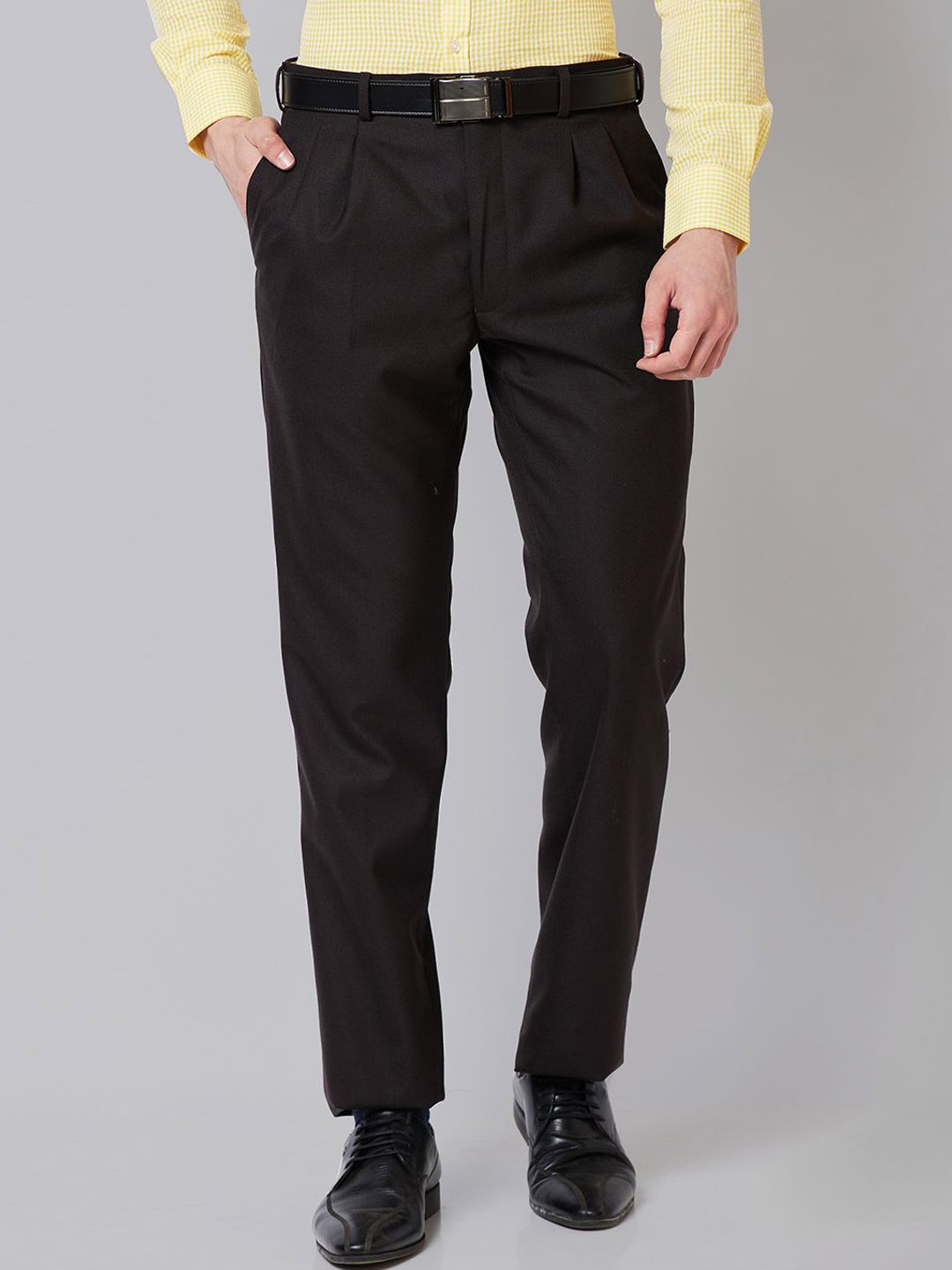 

Park Avenue Men Mid-Rise Regular Fit Pleated Trousers, Brown