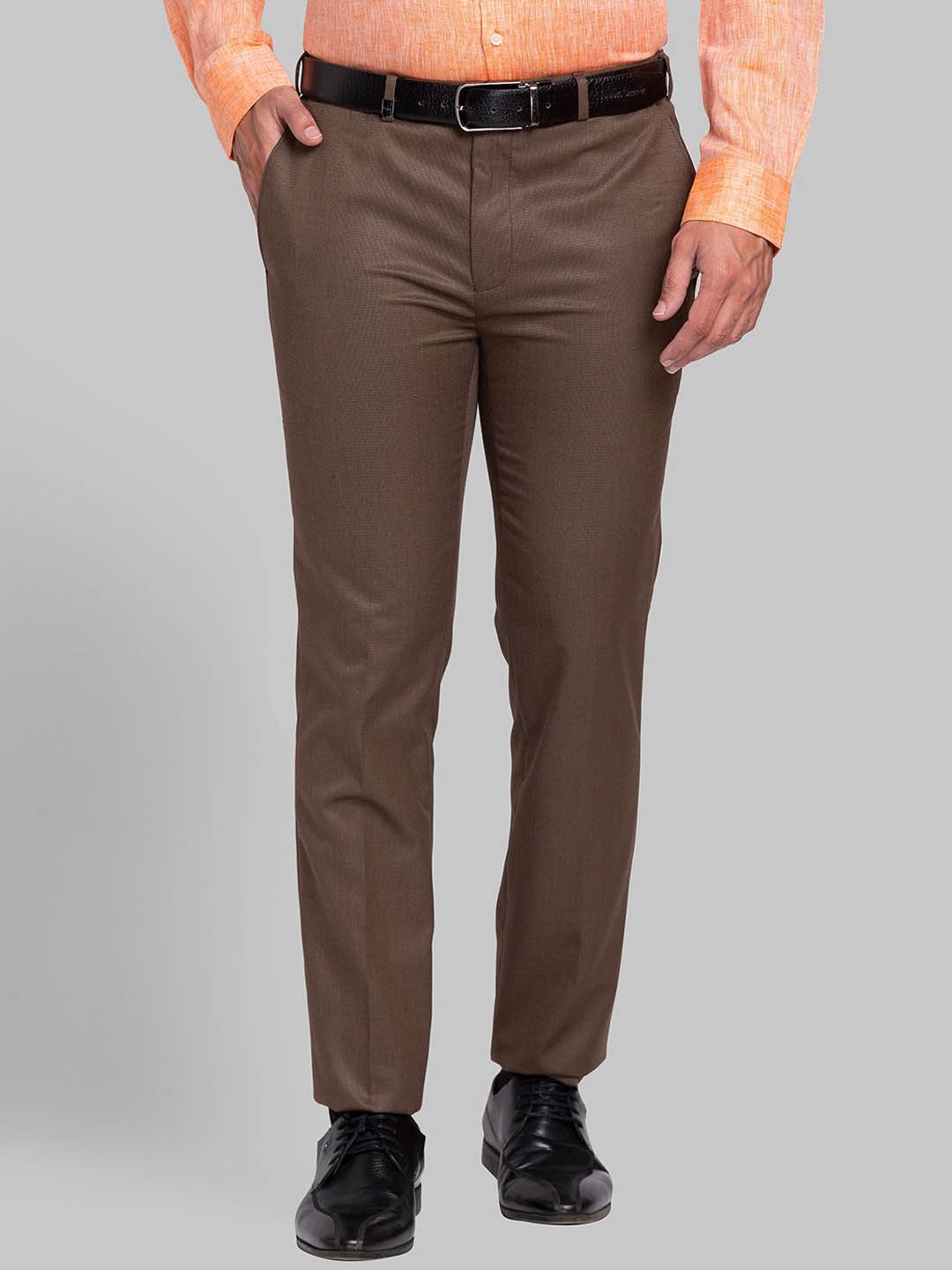 

Park Avenue Men Mid-Rise Slim Fit Formal Trousers, Brown