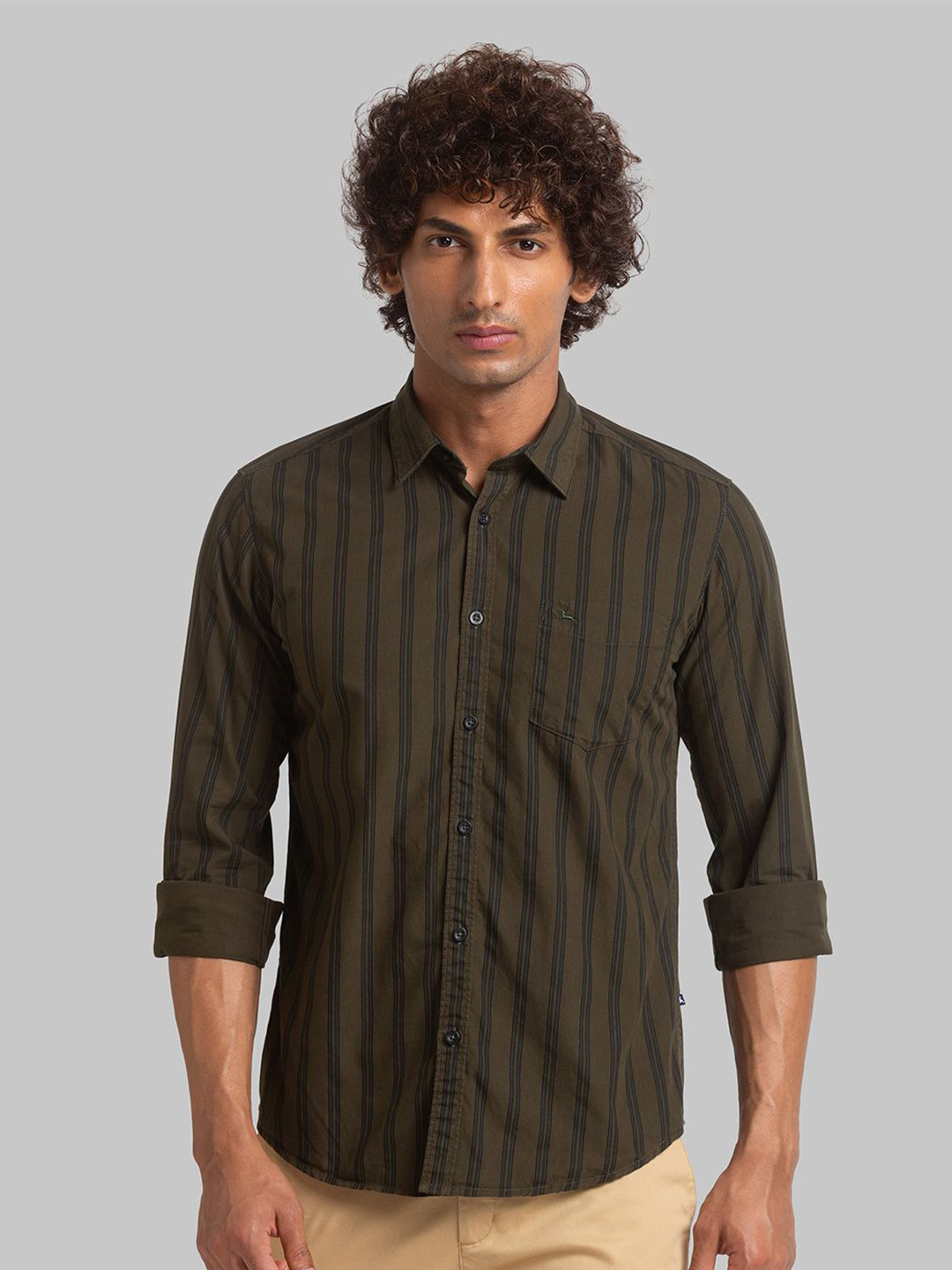 

Parx Men Slim Fit Opaque Striped Casual Shirt, Green
