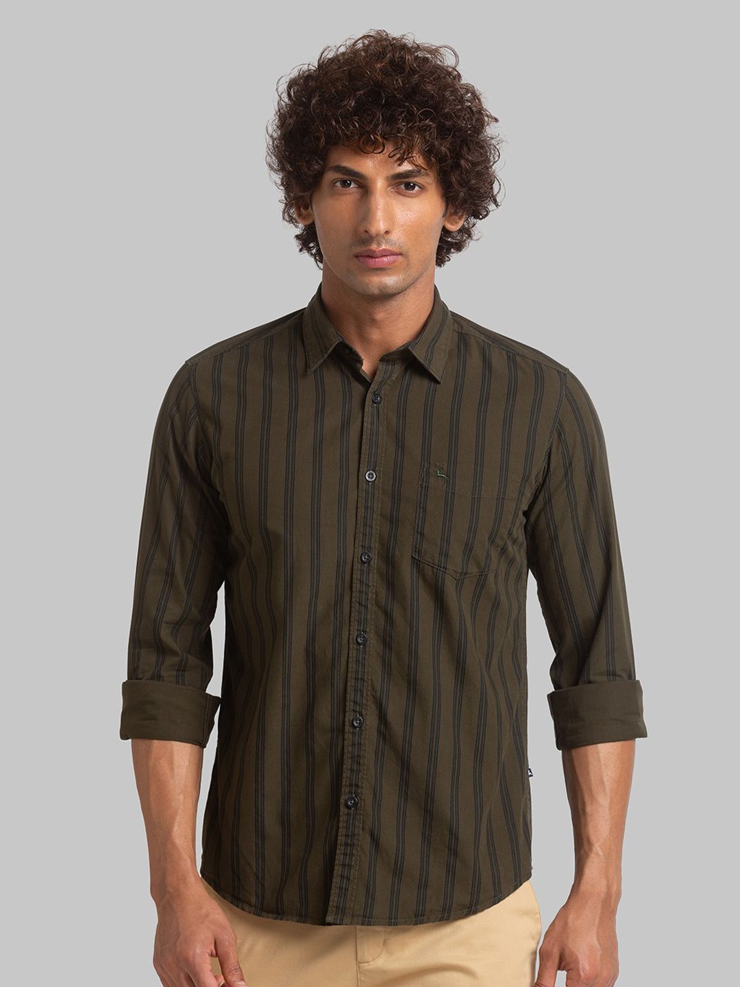 

Parx Men Slim Fit Opaque Striped Casual Shirt, Green