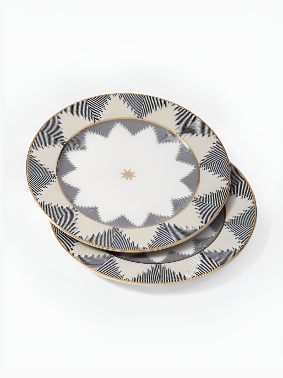 

Ritu Kumar Ikkat Grey & White 2 Pieces Printed Plates
