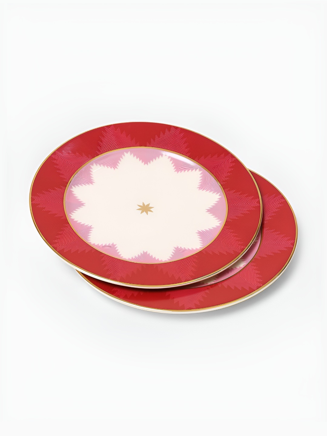 

Ritu Kumar Ikkat Pink & White 2 Pieces Printed Plates