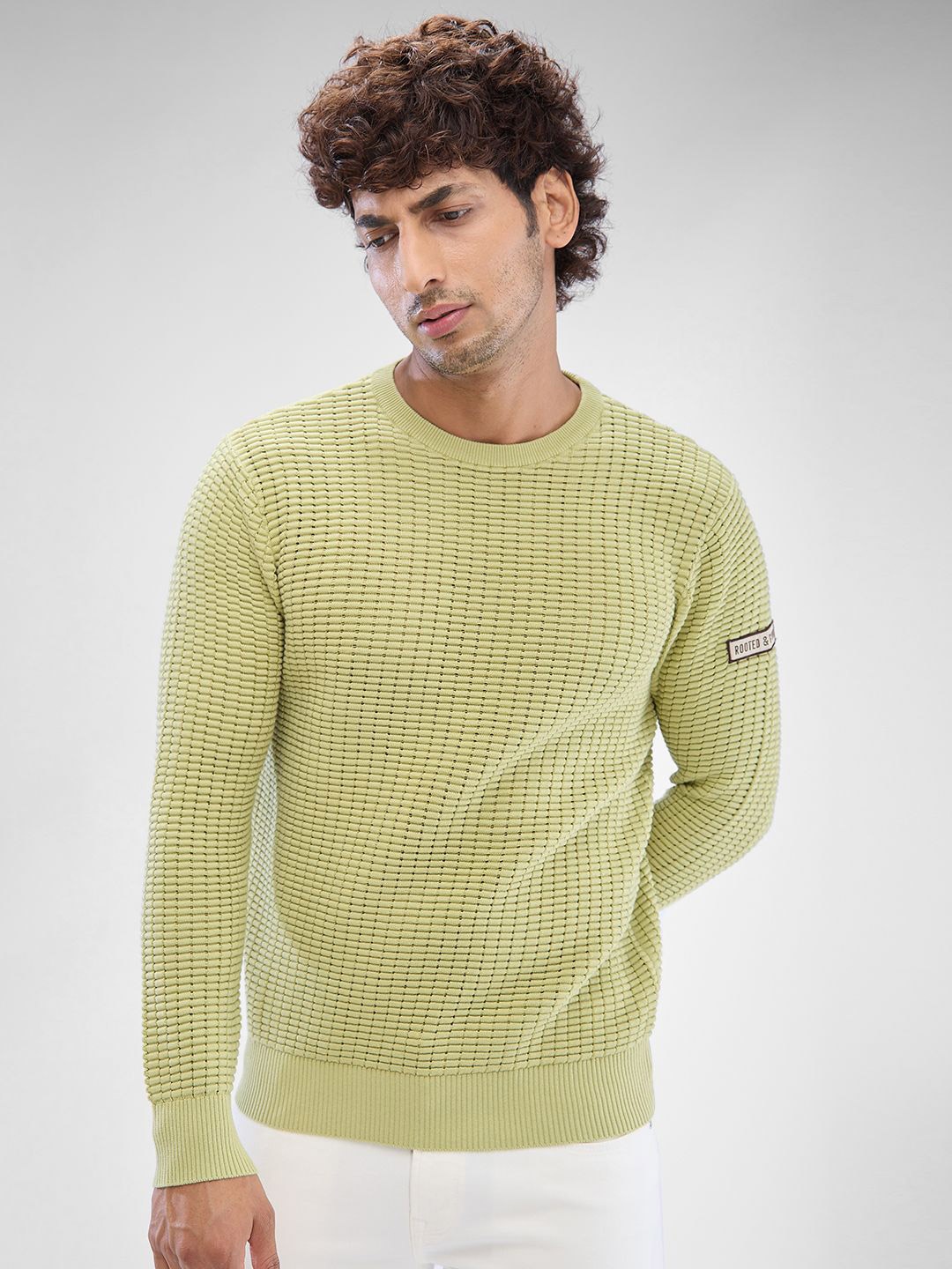 

SPYKAR Men Pullover, Green