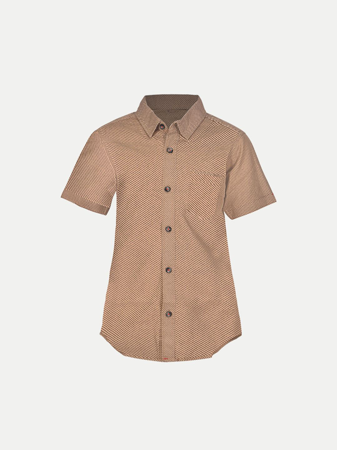 

BAESD Boys Standard Striped Casual Shirt, Brown