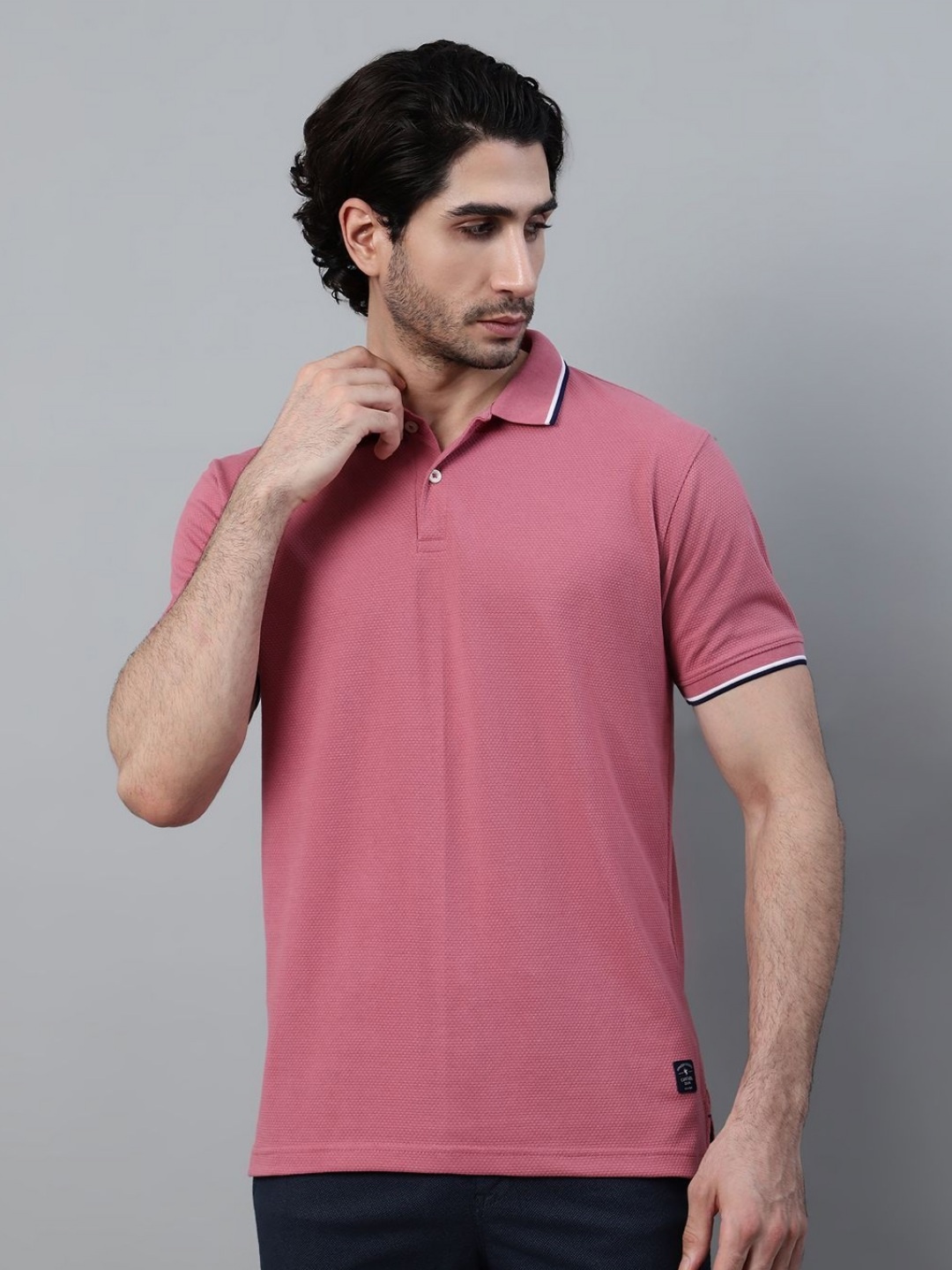 

Cantabil Men Polo Collar Applique T-shirt, Mauve