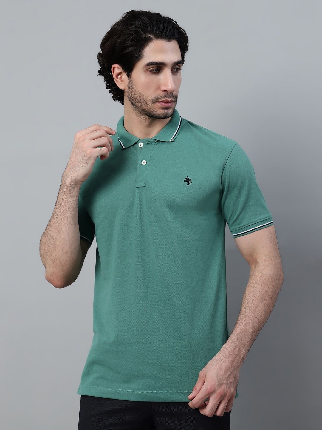 

Cantabil Men Polo Collar Solid T-shirt, Green