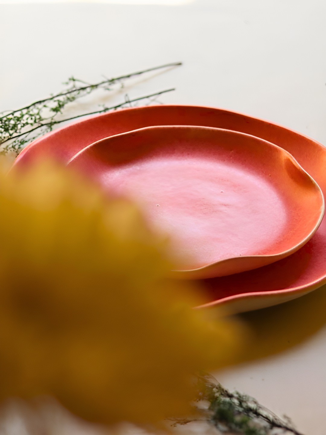 

WEAVING HOMES Pink 2 Pieces Microwave Safe Ceramic Plates