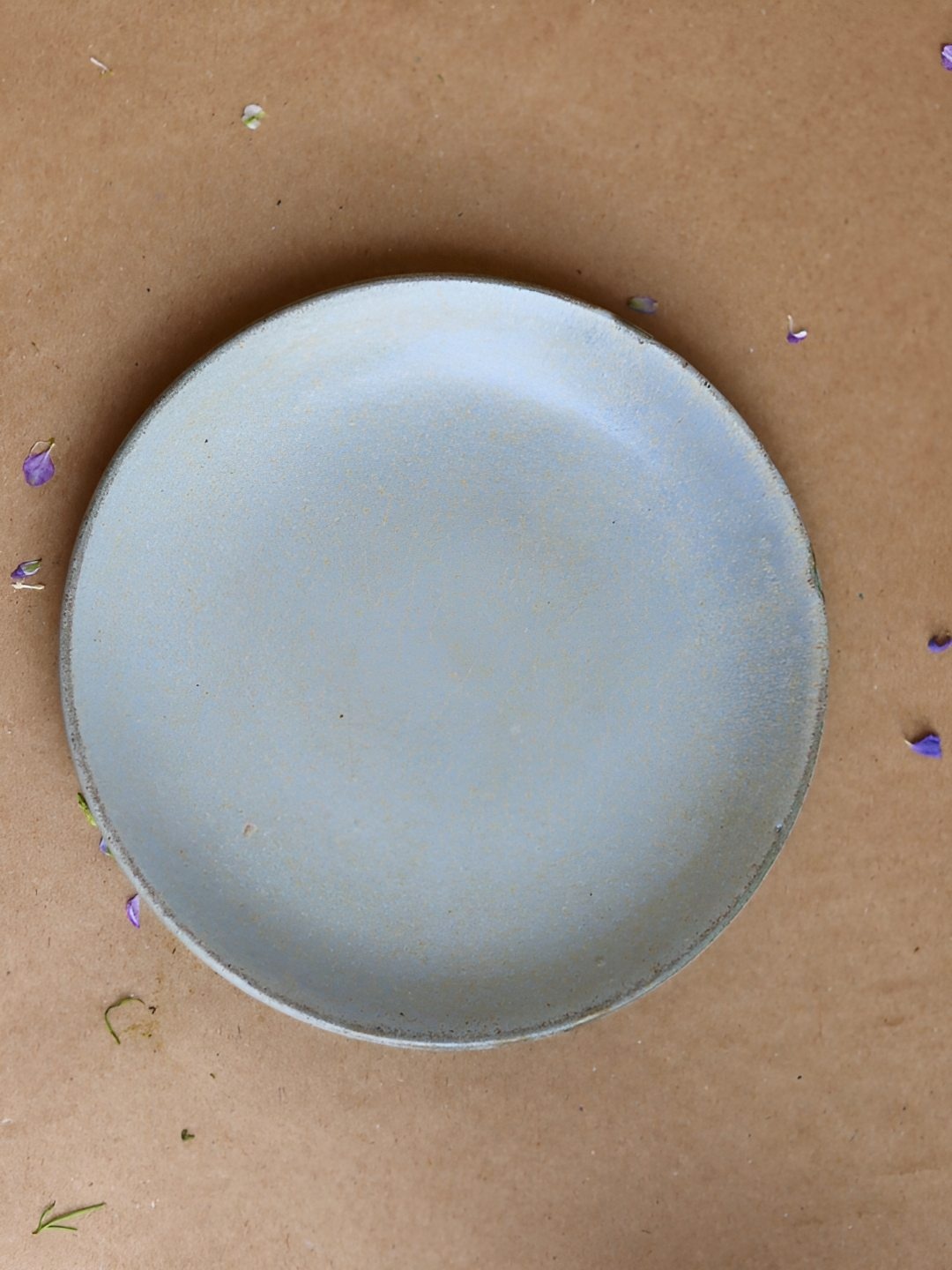

WEAVING HOMES Blue Microwave Safe Glossy Ceramic Plate