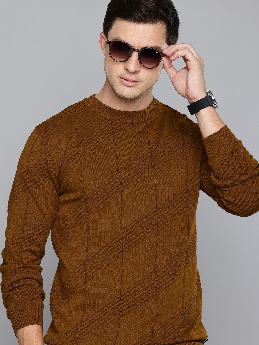 

Levis Geometric Self Design Pure Cotton Pullover, Brown
