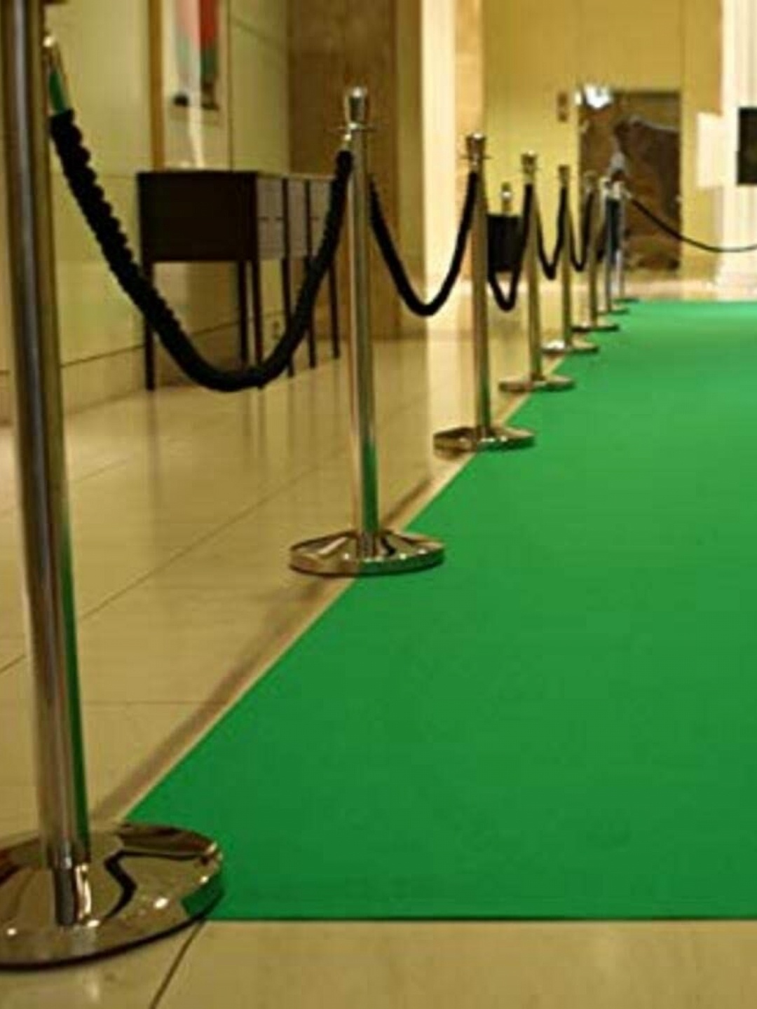 

Safiya Carpet Green Anti-Skid Nylon Carpets