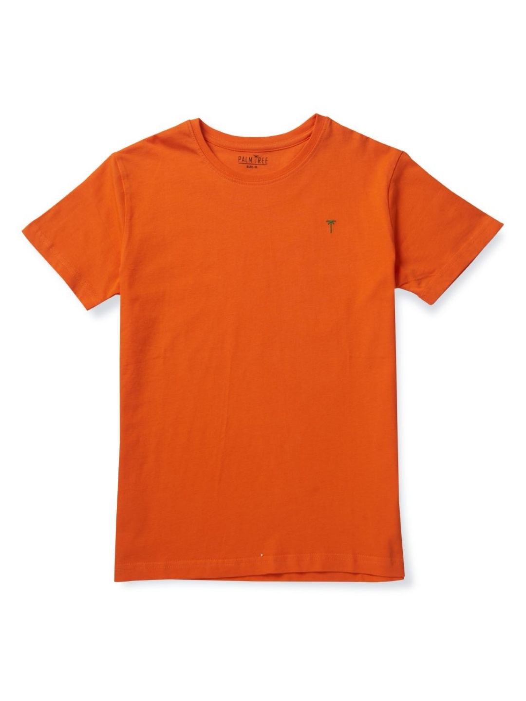 

Palm Tree Boys Solid Round Neck Cotton T-shirt, Orange